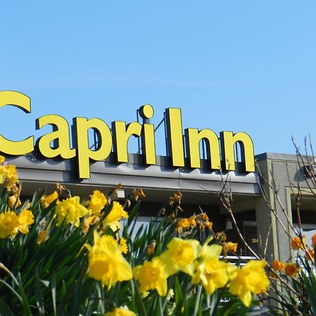 Capri Inn Saint Catharines Exterior photo